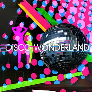 Disco Wonderland